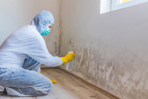 Mold Remediation specialist working in Copiague