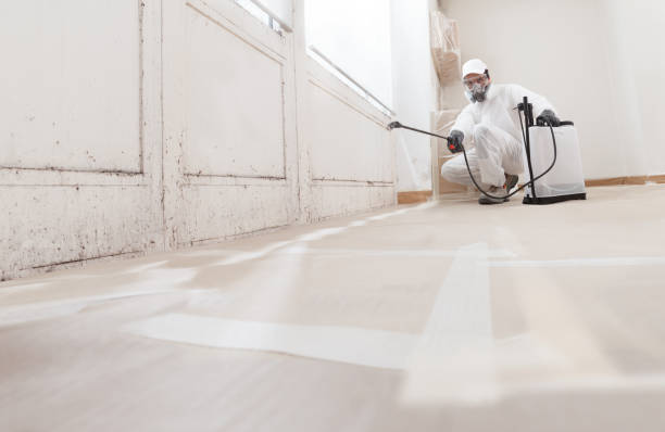 Black mold remediation team in Copiague